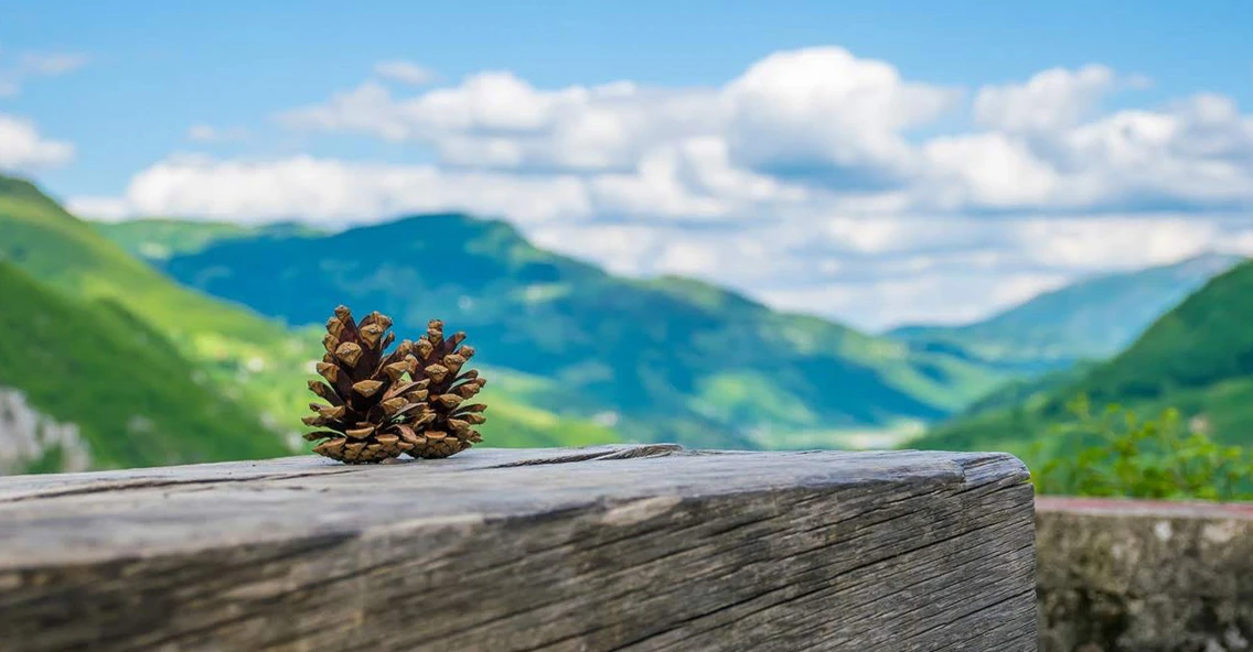 杉魁景觀建材網