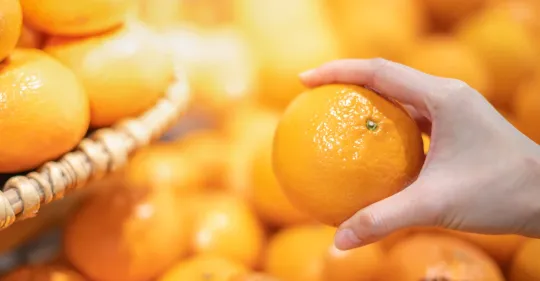 眾多的廠商中如何挑選好的網頁設計公司？